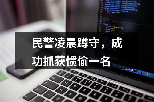 民警凌晨蹲守，成功抓获惯偷一名