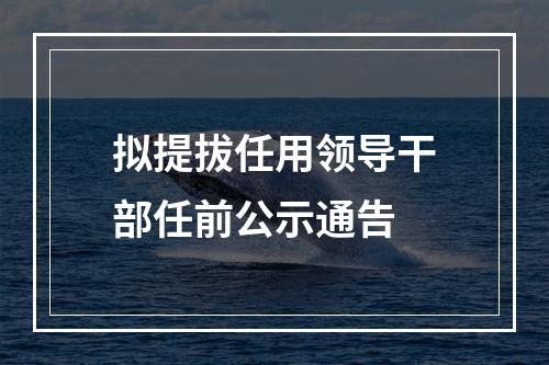 拟提拔任用领导干部任前公示通告