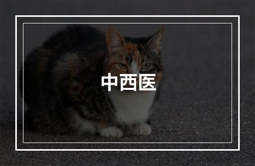 中西医