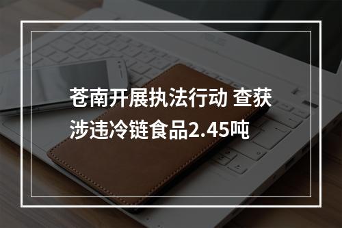 苍南开展执法行动 查获涉违冷链食品2.45吨