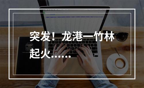 突发！龙港一竹林起火......
