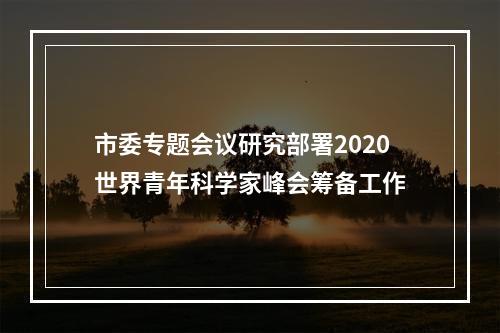 市委专题会议研究部署2020世界青年科学家峰会筹备工作