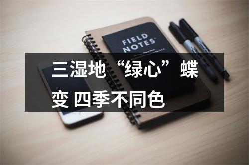 三湿地“绿心”蝶变 四季不同色