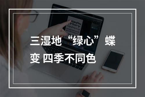 三湿地“绿心”蝶变 四季不同色