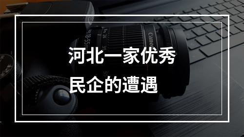 河北一家优秀民企的遭遇