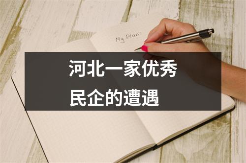 河北一家优秀民企的遭遇