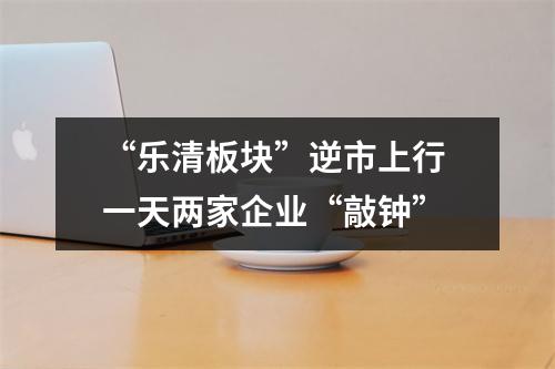 “乐清板块”逆市上行 一天两家企业“敲钟”