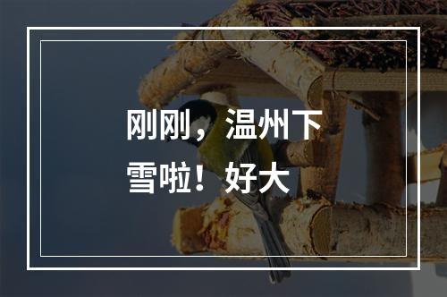 刚刚，温州下雪啦！好大