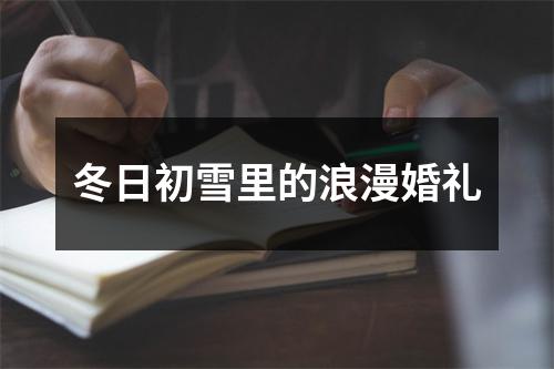 冬日初雪里的浪漫婚礼