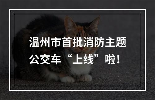 温州市首批消防主题公交车“上线”啦！