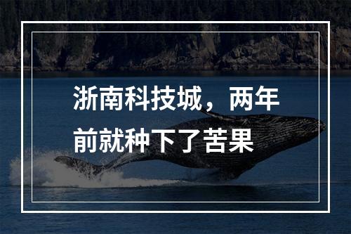 浙南科技城，两年前就种下了苦果