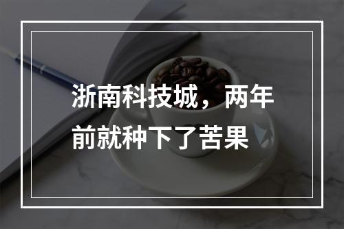 浙南科技城，两年前就种下了苦果