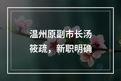 温州原副市长汤筱疏，新职明确