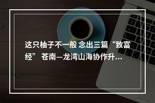 这只柚子不一般 念出三篇“致富经” 苍南—龙湾山海协作升级