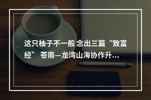 这只柚子不一般 念出三篇“致富经” 苍南—龙湾山海协作升级