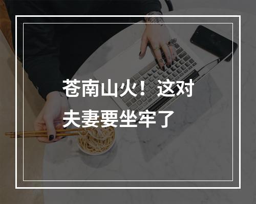 苍南山火！这对夫妻要坐牢了