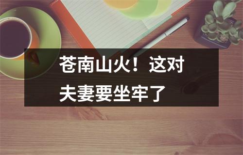 苍南山火！这对夫妻要坐牢了