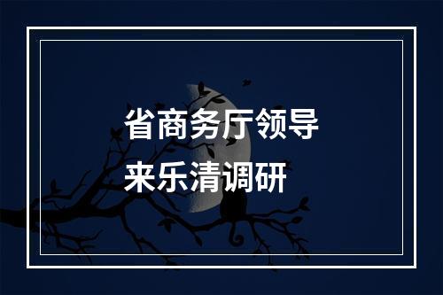 省商务厅领导来乐清调研