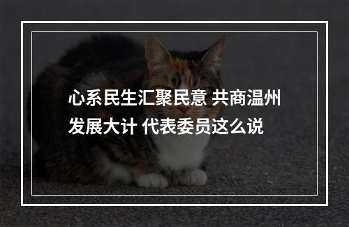 心系民生汇聚民意 共商温州发展大计 代表委员这么说