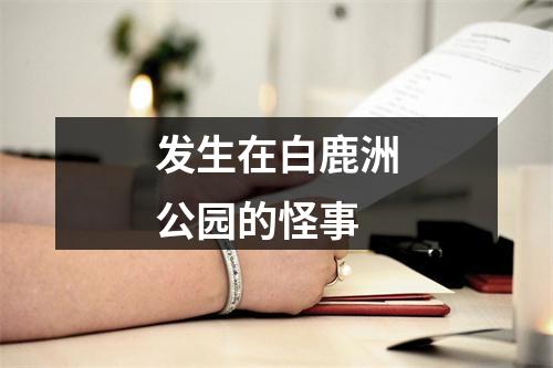 发生在白鹿洲公园的怪事