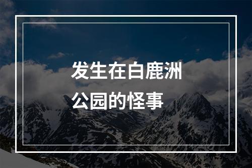 发生在白鹿洲公园的怪事