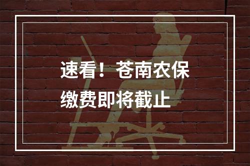 速看！苍南农保缴费即将截止