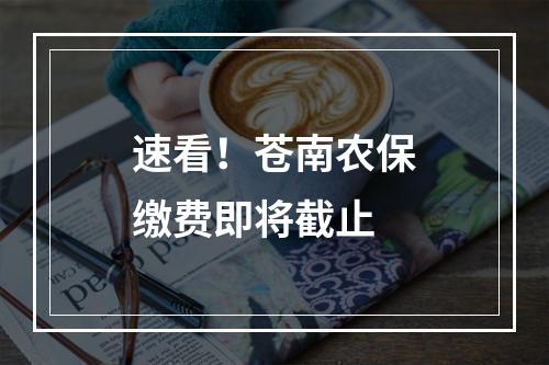 速看！苍南农保缴费即将截止