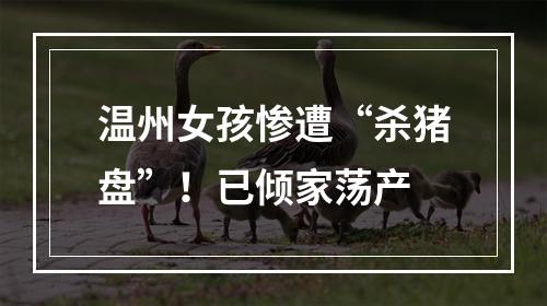 温州女孩惨遭“杀猪盘”！已倾家荡产