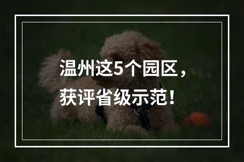 温州这5个园区，获评省级示范！