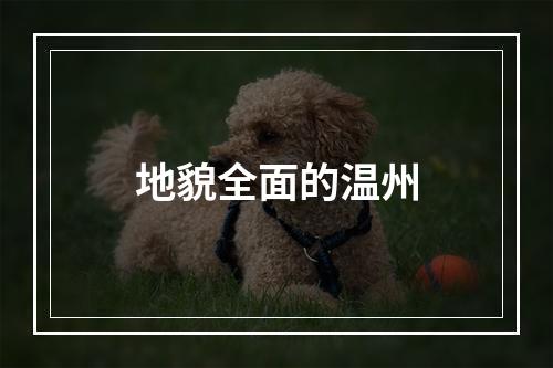 地貌全面的温州