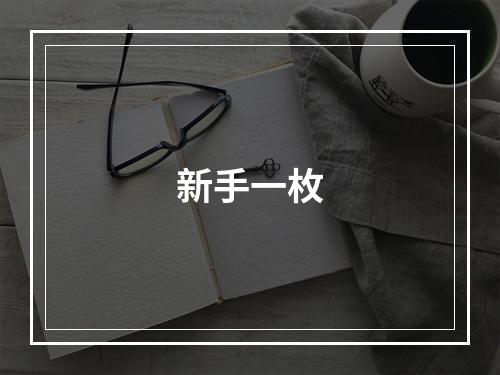 新手一枚