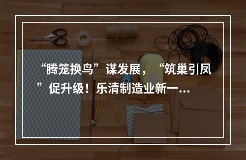 “腾笼换鸟”谋发展，“筑巢引凤 ”促升级！乐清制造业新一轮攻坚行动见成效