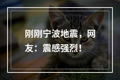 刚刚宁波地震，网友：震感强烈！