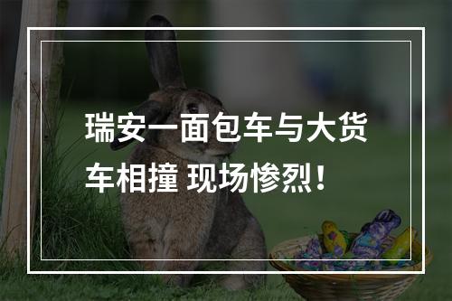 瑞安一面包车与大货车相撞 现场惨烈！