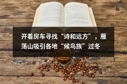 开着房车寻找“诗和远方”，雁荡山吸引各地“候鸟族”过冬