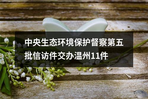 中央生态环境保护督察第五批信访件交办温州11件