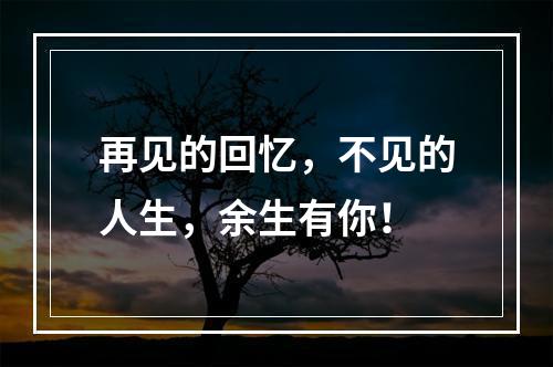 再见的回忆，不见的人生，余生有你！