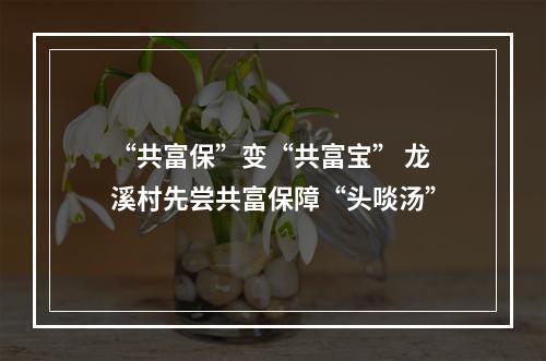 “共富保”变“共富宝” 龙溪村先尝共富保障“头啖汤”