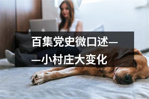 百集党史微口述——小村庄大变化