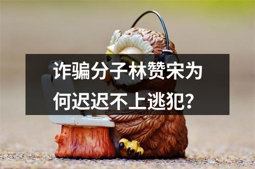 诈骗分子林赞宋为何迟迟不上逃犯？