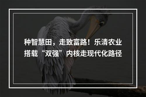 种智慧田，走致富路！乐清农业搭载“双强”内核走现代化路径