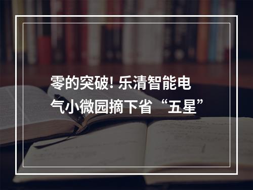 零的突破! 乐清智能电气小微园摘下省“五星”