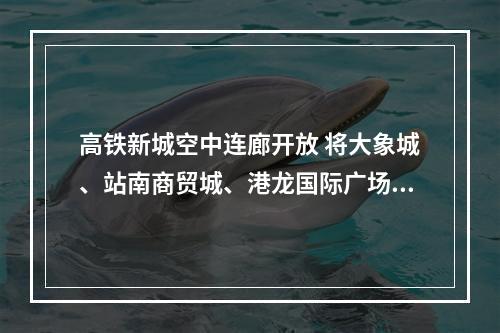 高铁新城空中连廊开放 将大象城、站南商贸城、港龙国际广场、君廷大酒店“连成线”