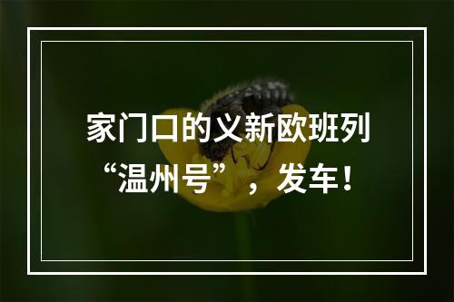 家门口的义新欧班列“温州号”，发车！