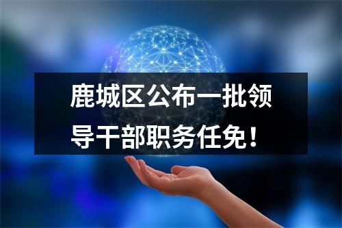 鹿城区公布一批领导干部职务任免！