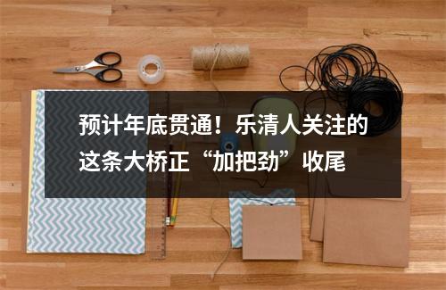 预计年底贯通！乐清人关注的这条大桥正“加把劲”收尾