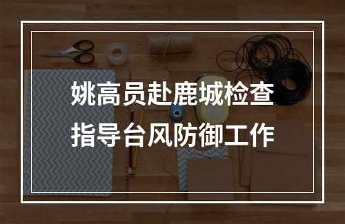 姚高员赴鹿城检查指导台风防御工作