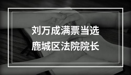 刘万成满票当选鹿城区法院院长