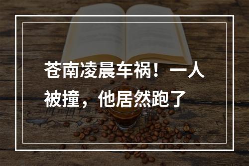 苍南凌晨车祸！一人被撞，他居然跑了