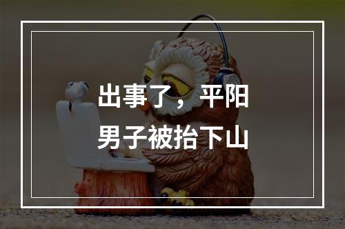 出事了，平阳男子被抬下山